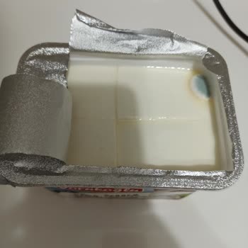 Yörükoğlu Süzme Peynir Küflü