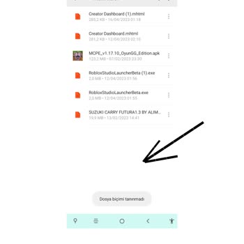 Roblox Studio "dosya Biçimi Tanınmadı"hatası
