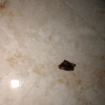 Eti Gıda Karam Çikolatanın İçinden Anlayamadığım Bir Cisim Çıktı