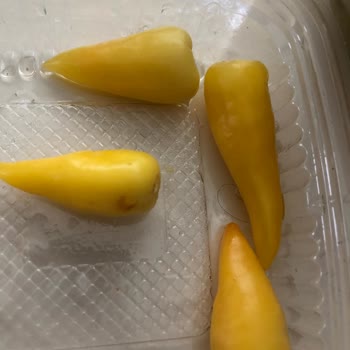 Taksim Hamburger Yemekten Saç Çıkması