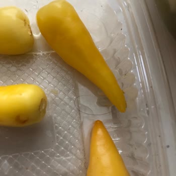 Taksim Hamburger Yemekten Saç Çıkması