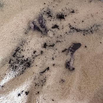 Selva Gıda İrmik Kutumda Siyah Tuhaf Şeyler