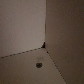 İstanbul Nakliyat Eşyalarımıza Zarar Verdi Mağduriyetimizi Gidermedi