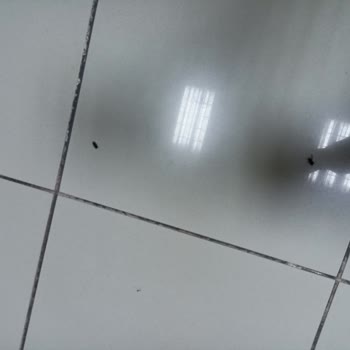 Dr. Abdurrahman Yurtaslan Onkoloji Eğitim Ve Araştırma Hastanesi Hijyen Yok