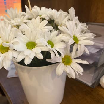 ÇiçekSepeti Hatalı Ürün Gönderimi