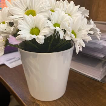 ÇiçekSepeti Hatalı Ürün Gönderimi