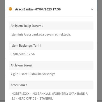 Garanti Bankası SWİFT Sorunu