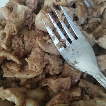 Payidar Kokoreç (Manisa) Kötü Tat Koku