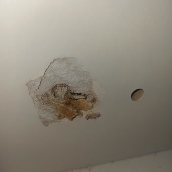 Nilay Mobilya (Tekirdağ) MDF Dediği Dolap Karton Çıktı