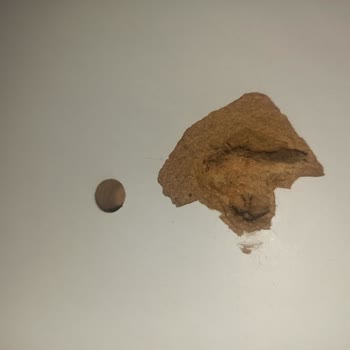 Nilay Mobilya (Tekirdağ) MDF Dediği Dolap Karton Çıktı