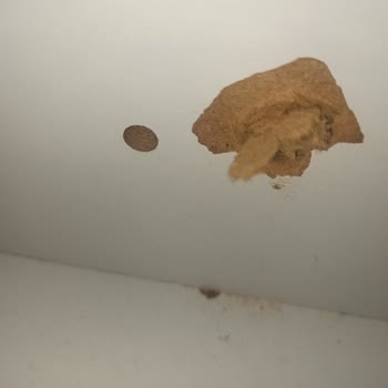 Nilay Mobilya (Tekirdağ) MDF Dediği Dolap Karton Çıktı