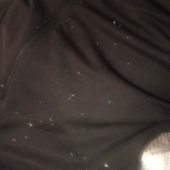 Step Halıcılık Ayıplı Ürün