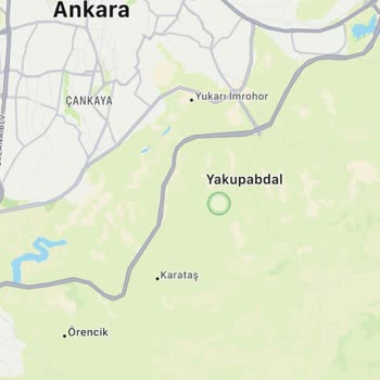 Letgo Da Konum Sorunu