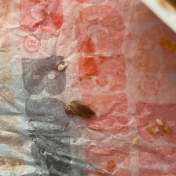 Burger King Soğan Halkasının İçinden Garip Bir Şey Çıktı