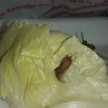 Meşhur Adıyaman Çiğköftecisi (Ömer Aybak) Siparişimin İçinden Salyangoz Çıktı