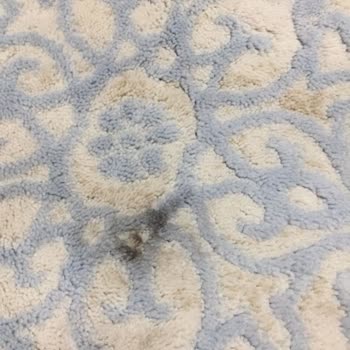 Almira Halı Yıkama (Konya)'dan Şikayetçiyim