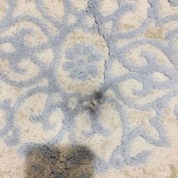 Almira Halı Yıkama (Konya)'dan Şikayetçiyim