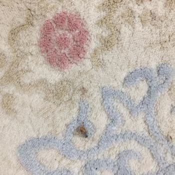 Almira Halı Yıkama (Konya)'dan Şikayetçiyim