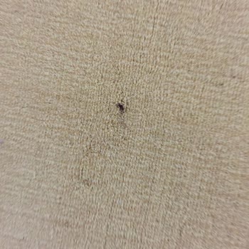 Almira Halı Yıkama (Konya)'dan Şikayetçiyim