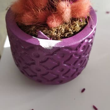 Çiçek Sepeti Ürünümün Hasarlı Gelmesi Hakkında