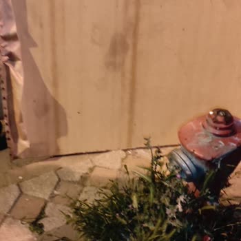 Naz Uyku Evi Yatak Baza Başlık