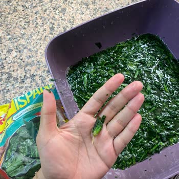 Feast Dondurulmuş Ispanak İçi Pis Ve Çürük Yaprak Doluydu