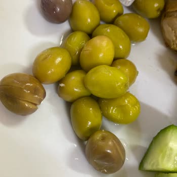 Vezneciler Kyk Kız Öğrenci Yurdu Yemek Yardımı Diye Çürük Yemeklerin Verilmesi