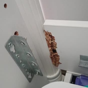 Çilek Mobiya Romantik Beşik Karyola Kopma Menteşe