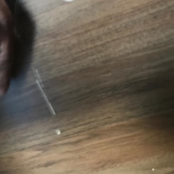 Yurtseven Nakliyat (Denizli) Hüsrana Uğrattı