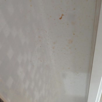 Eylül Temizlik Temizlik Hizmetinden Memnun Kalmadım