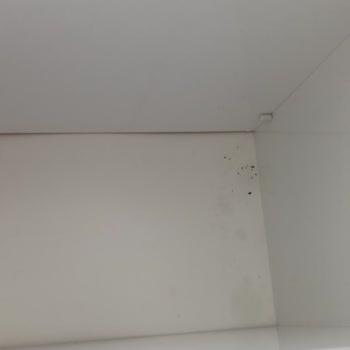 Eylül Temizlik Temizlik Hizmetinden Memnun Kalmadım