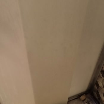 Eylül Temizlik Temizlik Hizmetinden Memnun Kalmadım