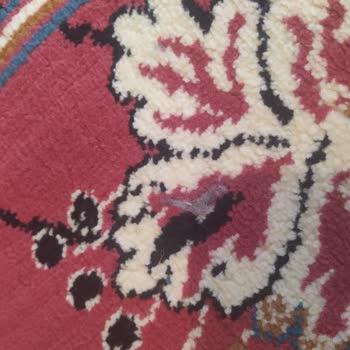 Atlas Halı ve Koltuk Yıkama (Elazığ) Halılarım Temiz Gelmedi!