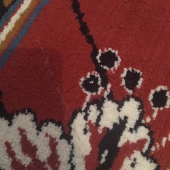 Atlas Halı ve Koltuk Yıkama (Elazığ) Halılarım Temiz Gelmedi!