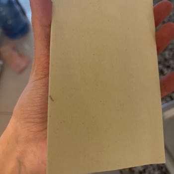 Barilla Lazanya Kutusunda Böcek Çıkması