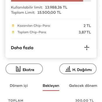 Passolig Para Hatası Veriyor
