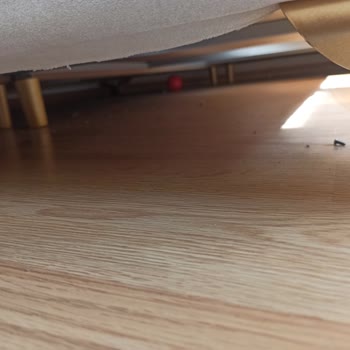 Güneş Temizlik İşini Yapmadı