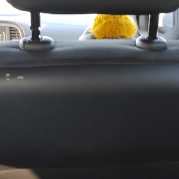 Renault Megane 4 Koltuk Deformasyonu