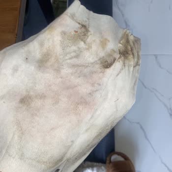 Ankara Temizlik Kötü Hizmet