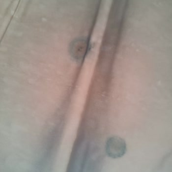 BİM/Başak Gıda Küflü Baklavalık Yufka