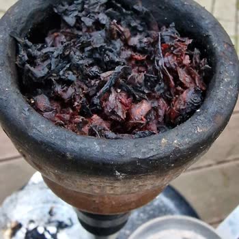 Meşelik Park Restoran Nargile Çok Kötüydü