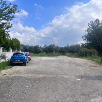 Torbalı Belediyesi Asfalt Ve Aydınlatma