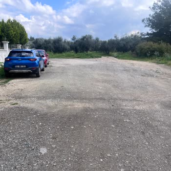 Torbalı Belediyesi Asfalt Ve Aydınlatma