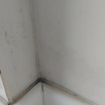 Jotun Boya Tex Utra Dış Cephe Kaplaması Sorunu