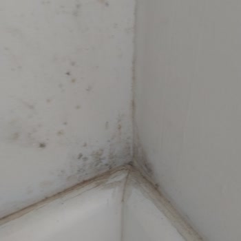 Jotun Boya Tex Utra Dış Cephe Kaplaması Sorunu