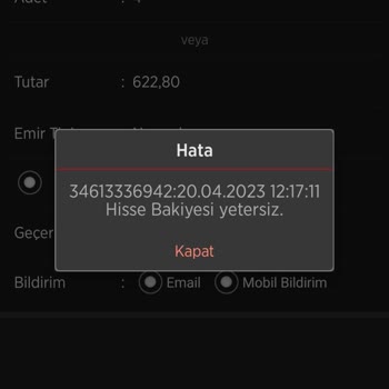 Ziraat Yatırım Hisse Senedi Satışta Bakiye Sorunu