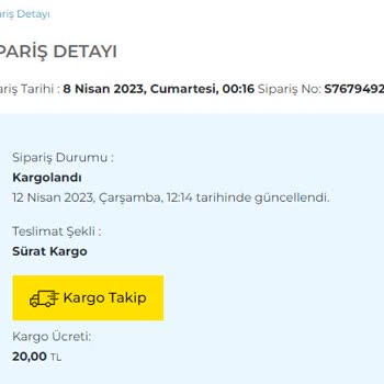 Sinerji Bilgisayar Ürün Teslimat Problemleri.