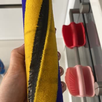 Dyson V12 Filtre Ve Sert Zemin Başlık Sorunu