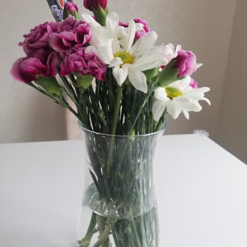 Çiçek Sepeti Elazığ Şubeleri