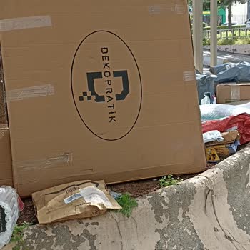 Aras Kargo Beşnisan Şubesi Teslim Sorunu